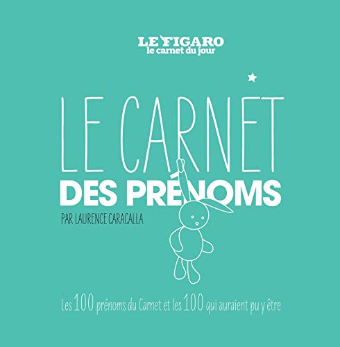 9782810507290: Le carnet des prnoms: LES 100 PRENOMS DU CARNET LES 100 QUI AURAIENT PU Y ETRE.