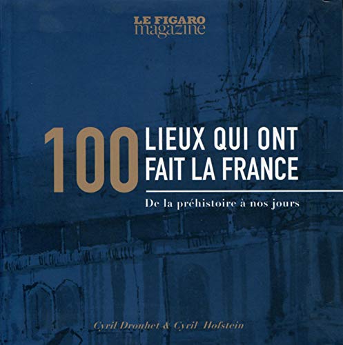 Imagen de archivo de 100 lieux qui ont fait la France: De la prhistoire  nos jours a la venta por Librairie Th  la page