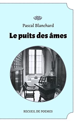 Beispielbild fr Le puit des mes (French Edition) zum Verkauf von Lucky's Textbooks