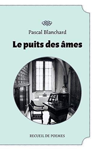 Imagen de archivo de Le puit des mes (French Edition) a la venta por Lucky's Textbooks