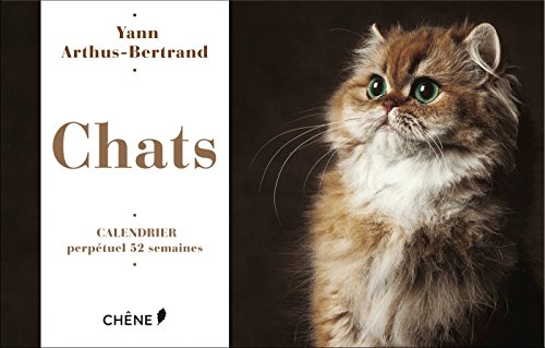 Beispielbild fr Chats : Calendrier Perptuel 52 Semaines zum Verkauf von RECYCLIVRE