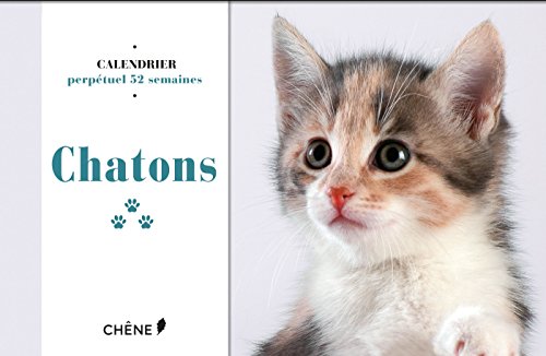 Beispielbild fr Calendrier 52 semaines Chatons zum Verkauf von medimops