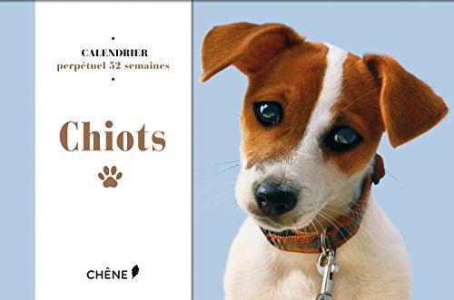 9782812313233: Chiots: Calendrier perptuel 52 semaines