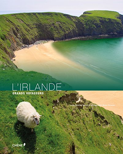 9782812314230: L'Irlande