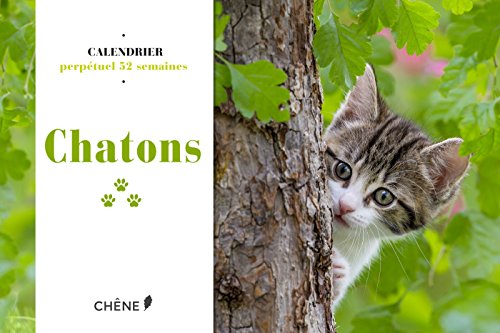Beispielbild fr Calendrier 52 semaines Chatons zum Verkauf von Ammareal