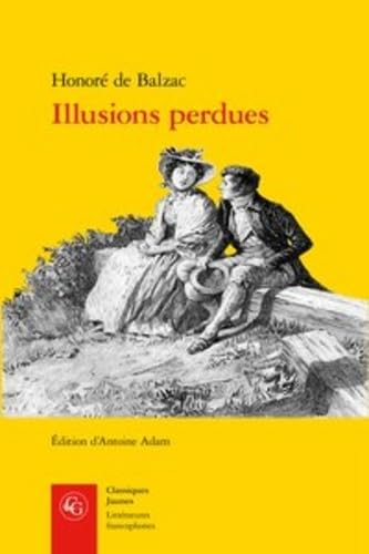 9782812412264: Illusions Perdues: 428 (Litteratures Francophones)