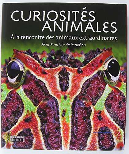 Stock image for Curiosits animales : A la rencontre des animaux extraordinaires for sale by Ammareal