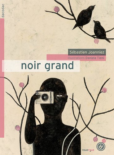 Stock image for Noir grand for sale by medimops