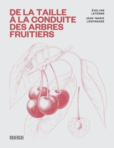 Beispielbild fr De la taille  la conduite des arbres fruitiers zum Verkauf von Gallix