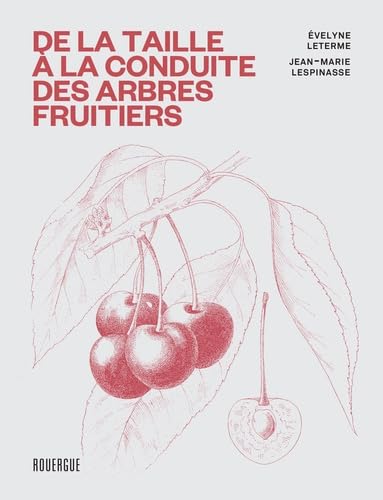 Imagen de archivo de De la taille  la conduite des arbres fruitiers a la venta por Gallix