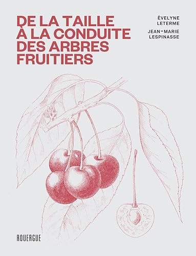 Stock image for De la taille  la conduite des arbres fruitiers for sale by Gallix