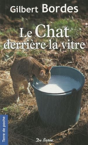 Imagen de archivo de Le Chat derrire la vitre (NE) a la venta por Librairie Th  la page