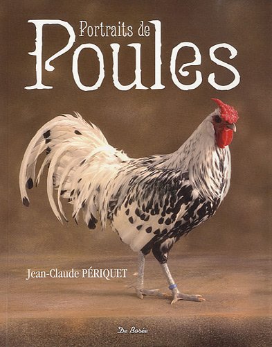 Beispielbild fr Portraits de poules zum Verkauf von medimops