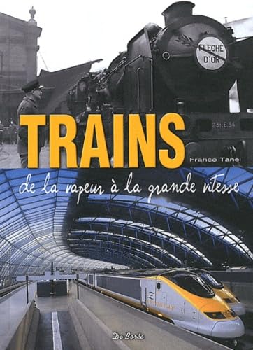 Beispielbild fr Trains de la vapeur  la grande vitesse zum Verkauf von Ammareal