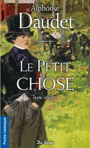 9782812909351: Le petit chose