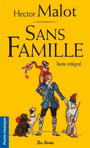 9782812909399: Sans famille