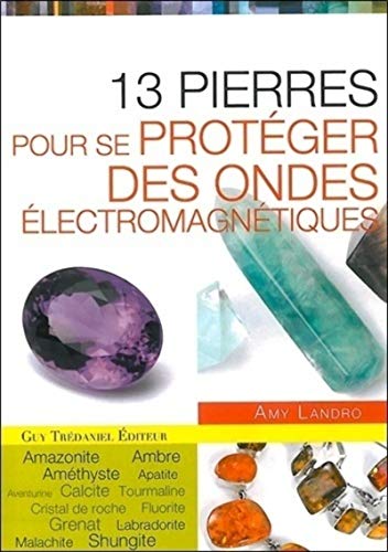 Beispielbild fr 13 pierres pour se protger des ondes lectromag ntiques zum Verkauf von Gallix