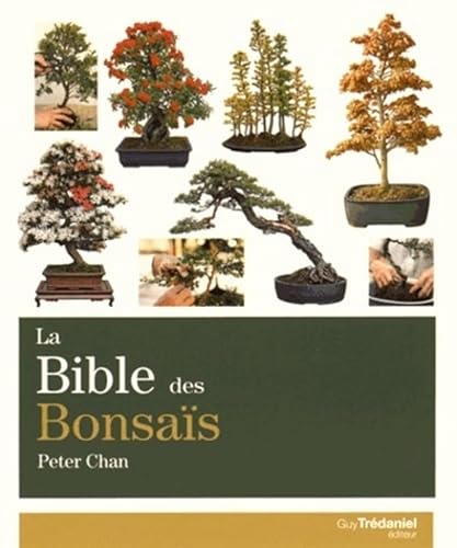 Beispielbild fr La bible des bonsas zum Verkauf von medimops