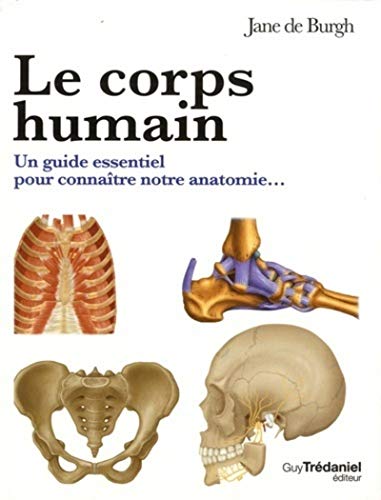 Beispielbild fr Le corps humain : Le guide visuel pour comprendre notre anatomie zum Verkauf von medimops