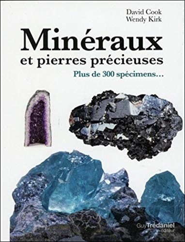 Stock image for Minraux et pierres prcieuses : Plus de 300 spcimens. for sale by medimops
