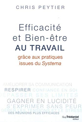 Beispielbild fr Efficacit et Bien-tre au travail zum Verkauf von Ammareal