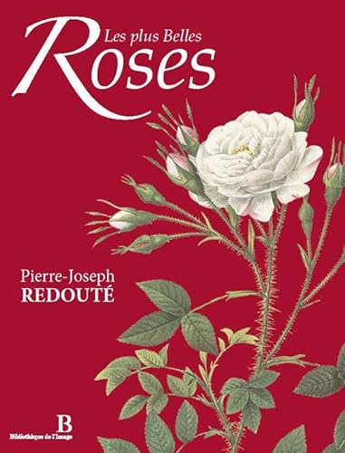 Stock image for Les plus Belles Roses - Bilingue : Franais/Anglais for sale by medimops
