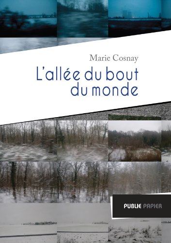 Beispielbild fr L'alle Du Bout Du Monde zum Verkauf von RECYCLIVRE