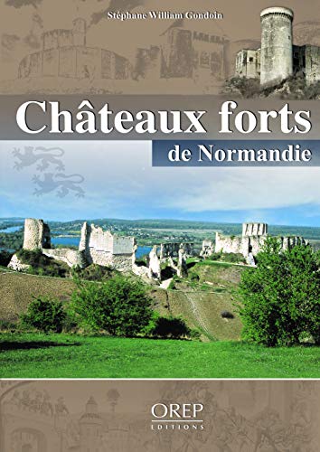 Stock image for Chteaux Forts De Normandie for sale by RECYCLIVRE