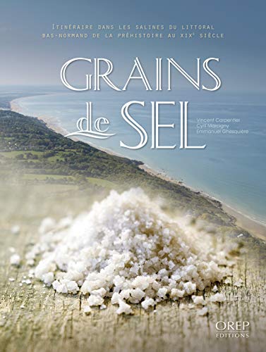 Stock image for Grains de sel. Itinraire dans les salines du littoral bas-normand de la prhistoire au XIXe sicle. for sale by medimops