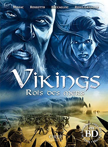 Beispielbild fr Vikings Rois des mers zum Verkauf von Gallix