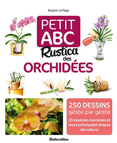 Beispielbild fr Petit ABC Rustica des orchides zum Verkauf von medimops