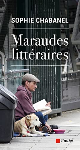 Beispielbild fr Maraudes littraires zum Verkauf von Ammareal