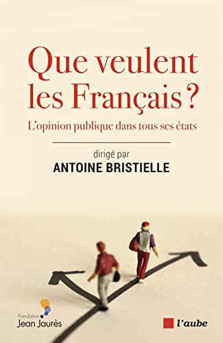 Beispielbild fr Que Veulent Les Franais ? : L'opinion Publique Dans Tous Ses tats zum Verkauf von RECYCLIVRE