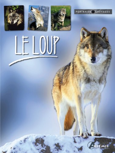 Beispielbild fr Le loup zum Verkauf von Ammareal