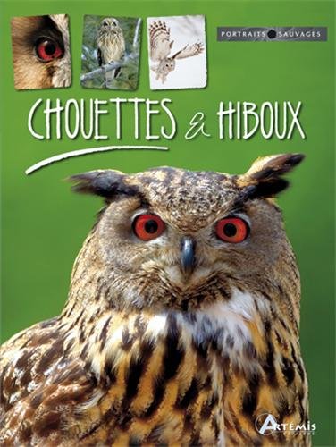 Chouettes et hiboux (French Edition) (9782816001044) by Michel Cuisin