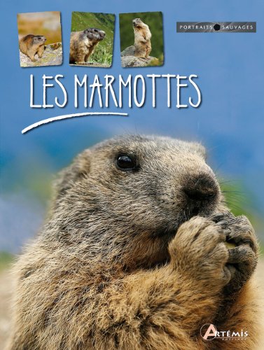 Beispielbild fr Les marmottes zum Verkauf von medimops