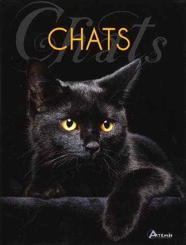 9782816002027: Chats