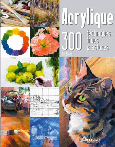 Stock image for Acrylique : 300 techniques, trucs et astuces for sale by medimops