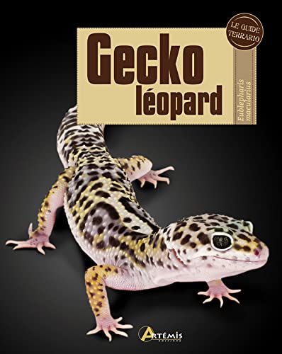 9782816002560: Gecko lopard: Eublepharis macularius