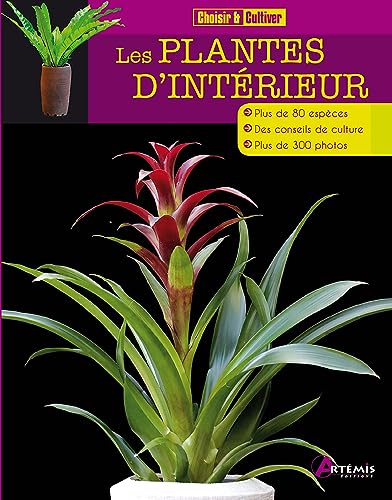 Beispielbild fr les plantes d'intrieur zum Verkauf von Chapitre.com : livres et presse ancienne