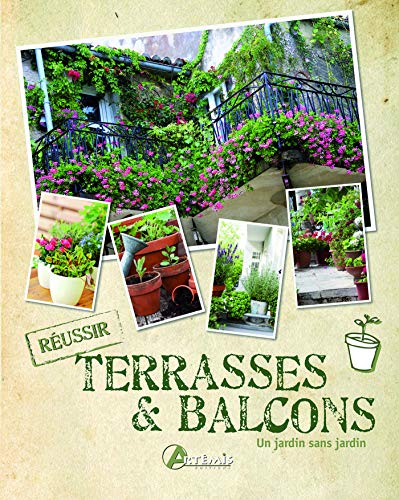 9782816003567: Terrasses et balcons: Un jardin sans jardin