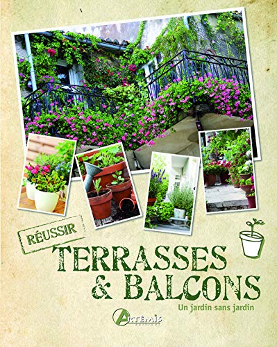 9782816003567: Terrasses & balcons : un jardin sans jardin