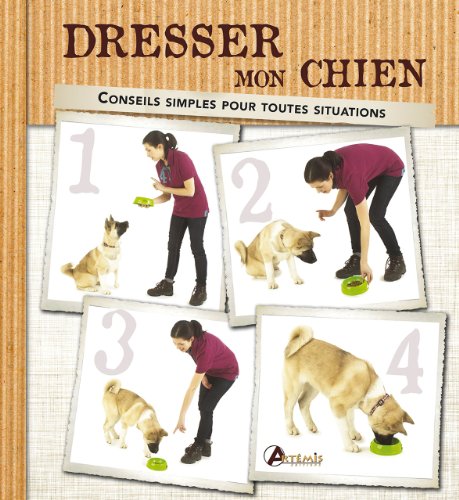 Stock image for Dresser mon chien : Conseils simples pour toutes les situations for sale by medimops