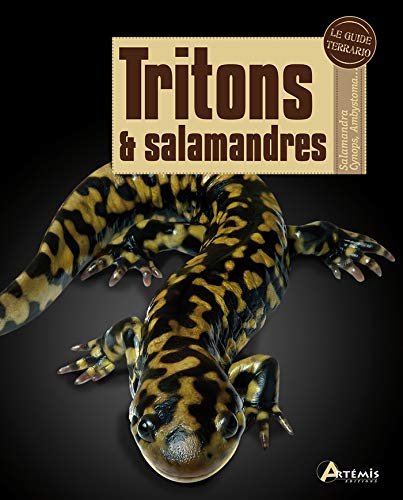 9782816003925: Tritons et salamandres: 0
