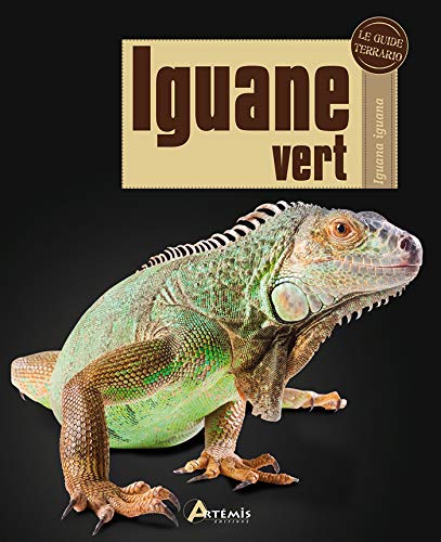 Beispielbild fr Iguane vert zum Verkauf von Revaluation Books