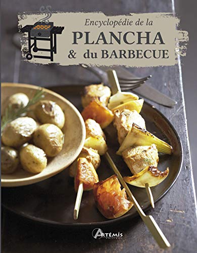 Stock image for Encyclopdie de la plancha et du barbecue for sale by Ammareal