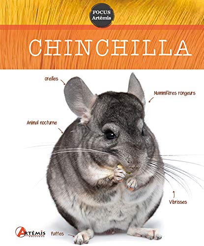 Beispielbild fr Chinchilla zum Verkauf von Ammareal