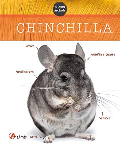 Stock image for Chinchilla for sale by Ammareal