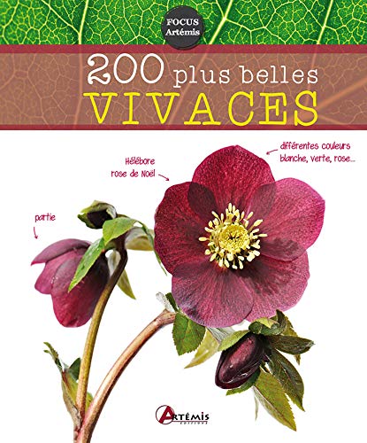 Beispielbild fr 200 plus belles vivaces zum Verkauf von Ammareal