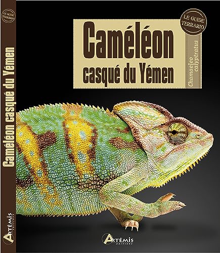 Stock image for CAMELEON CASQUE DU YEMEN for sale by medimops